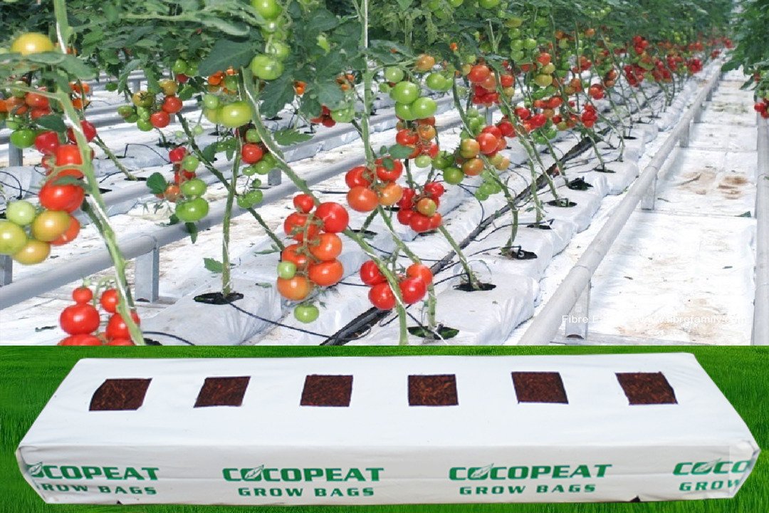Grow Bags
